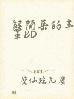 解开岳的丰满奶罩BD封面