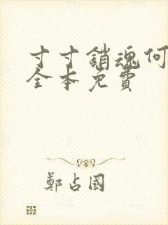 寸寸销魂何生祥全本免费封面