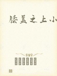 膝盖之上小说封面