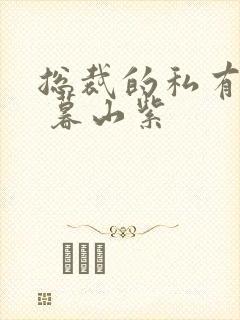 总裁的私有宝贝 暮山紫