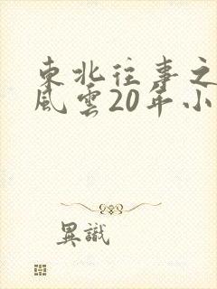 东北往事之黑道风云20年小说