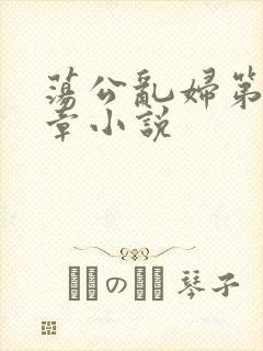 荡公乱妇第51章小说