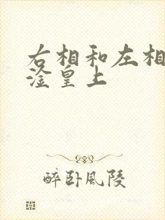 右相和左相一起淦皇上