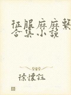 征服麻麻系列大合集小说