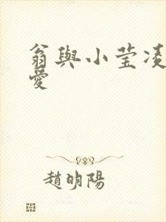 翁与小莹凌晨欢爱