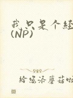 我只是个经纪人(NP)