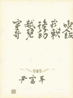 穿越后我吃到了哥儿的软饭炉山灰封面