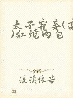 太子宠妾(高肉)红烧肉包