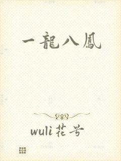 一龙八凤