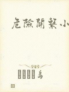 危险关系小说封面