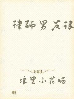 律师男友很难撩