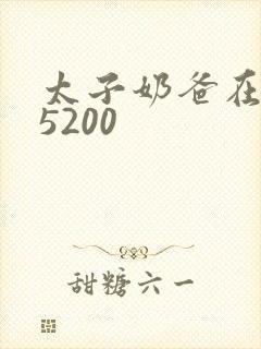 太子奶爸在花都5200