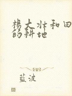 杨大壮和田桂花的耕地