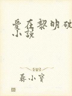 爱在黎明破晓前小说