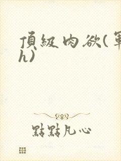 顶级肉欲(军高h)