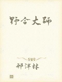 野合大师封面