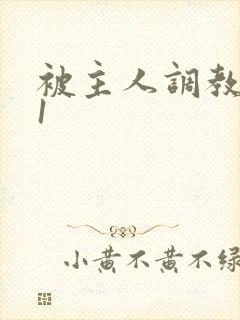 被主人调教1v1封面