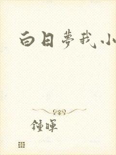 白日梦我小说封面