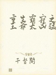 重生霸宠之摄政王爷太凶猛