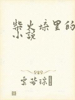 柴火垛里的疯狂小说