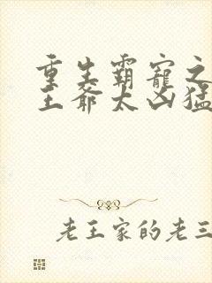 重生霸宠之摄政王爷太凶猛