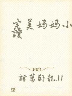 完美妈妈小说阅读