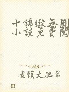 十锦缎无删原著小说免费阅读封面