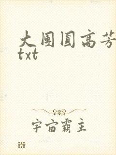 大团圆高芳小说txt