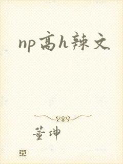 np高h辣文