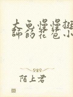 大龟慢慢挺进老师的花苞小说封面