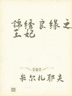 锦绣良缘之北地王妃