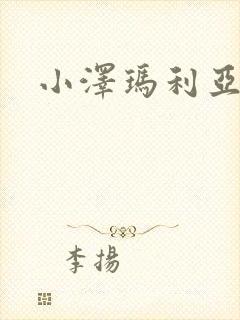 小泽玛利亚作品封面