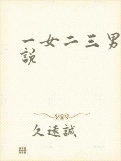 一女二三男事小说封面