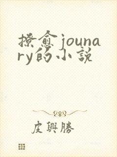 撩愈jounary的小说