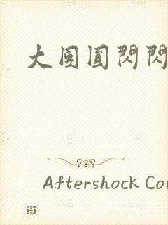 大团圆闪闪发光封面