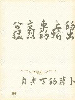 公交车上的诗请猛烈的输出阅读