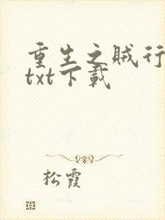 重生之贼行天下txt下载