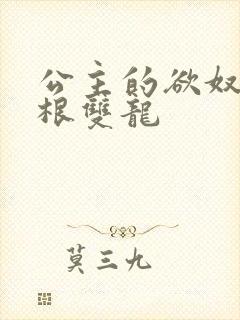 公主的欲奴h四根双龙