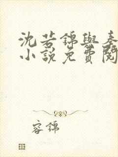 沈若锦与秦琅的小说免费阅读