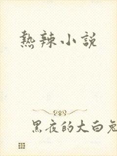 热辣小说