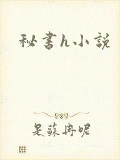 秘书h小说