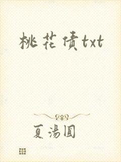 桃花债txt封面