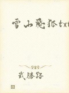 雪山飞狐txt