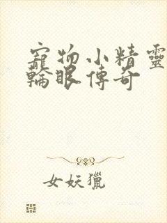 宠物小精灵之写轮眼传奇封面