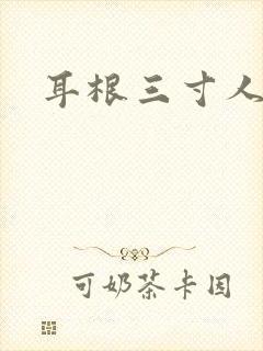 耳根三寸人间