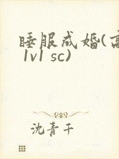 睡服成婚(高h 1v1 sc)