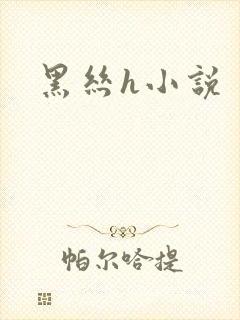 黑丝h小说