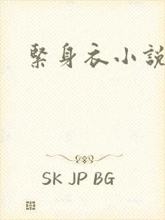 紧身衣小说封面