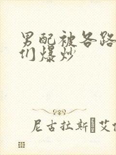 男配被各路大佬们爆炒