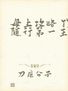 母上攻略 竹影随行第一主板